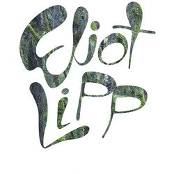 Eliot Lipp Come To Life Vinyl LP