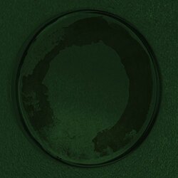 Personable Oyster Vinyl LP