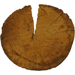 Winfried Ritsch Woodscratcher picture disc Vinyl LP