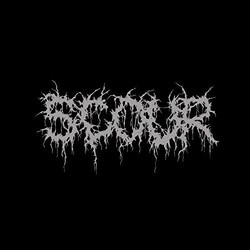 Scour Scour Vinyl LP