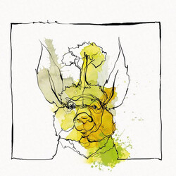 Acid Paul & Nico Stojan Call Of The Valley Vinyl 12"