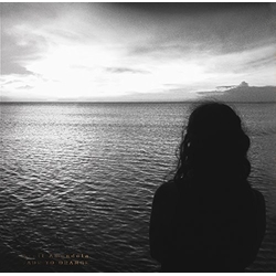 Scott Amendola Fade To Orange Vinyl LP