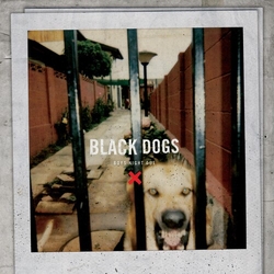 Boys Night Out Black Dogs Vinyl LP