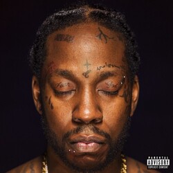 2 Chainz Collegrove Vinyl 2 LP