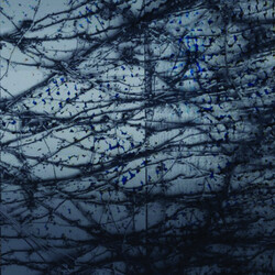 Human Rays A Tension Vinyl LP