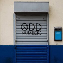 Mrwize 37 Adventures Presents Odd Numbers Volume 1 Vinyl LP