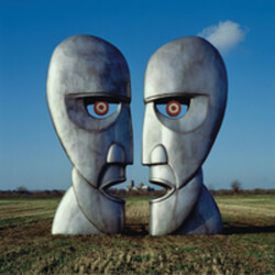 Pink Floyd Division Bell 180gm Vinyl 2 LP +g/f