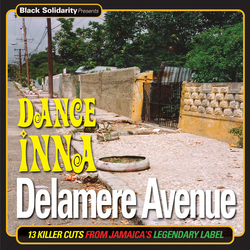 Various Black Solidarity Presents Dance Inna Delamere Avenue Vinyl LP