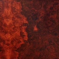 True Widow Avvolgere Vinyl 2 LP