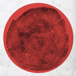 Roy Montgomery Q: Transient Global Amnesia Vinyl LP
