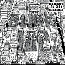 Blink-182 Neighborhoods VINYL 2 LP