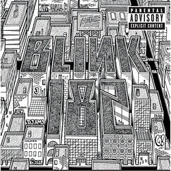 Blink 182 Neighborhoods Vinyl 2 LP