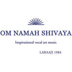 Laraaji Om Namah Shivaya Vinyl LP
