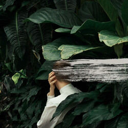 From Indian Lakes Everything Feels Better Now Vinyl LP
