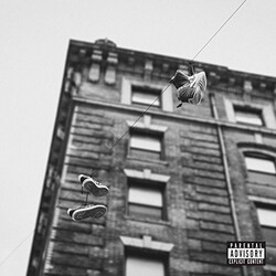 Apollo & Skyzoo Brown Easy Truth Vinyl LP