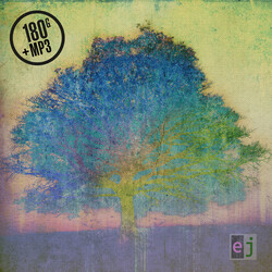 Eric Johnson Ej 180gm Vinyl LP