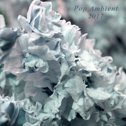 Various Artist Pop Ambient 2017 Vinyl LP
