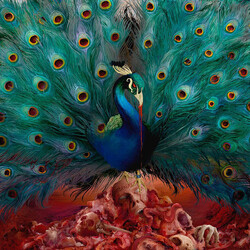 Opeth Sorceress Multi CD/DVD/Vinyl 2 LP Box Set