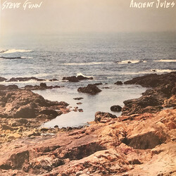 Steve Gunn ANCIENT JULES (DLCD) Vinyl 12"