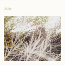 Luke Temple Hand Through The Cellar Door Vinyl LP