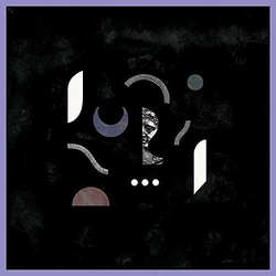 Wharves Electa Vinyl LP