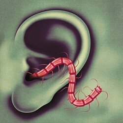 Thee Oh Sees Odd Entrances VINYL LP