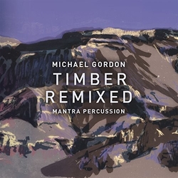 Gordon / Mantra Percussion / Squarepusher Gordon: Timber Remixed VINYL LP