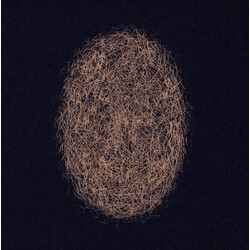 Eli Keszler Last Signs Of Speed 2 Vinyl 12"