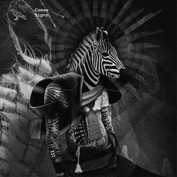 Camea Signs Vinyl 12"