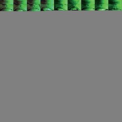 Syna So Pro Vox Vinyl LP