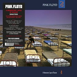 Pink Floyd Momentary Lapse Of Reason 180gm VINYL LP +g/f