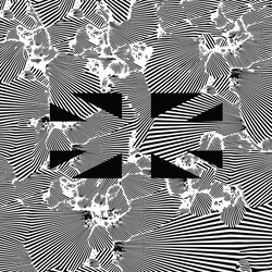 Moire No Future Vinyl 2 LP