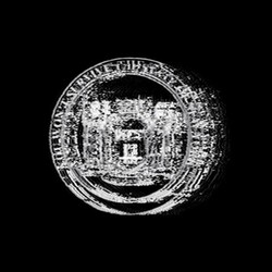 Nolife You Won't Survive The State Of New York Vinyl 12"