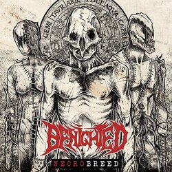Benighted Necrobreed ltd Vinyl LP