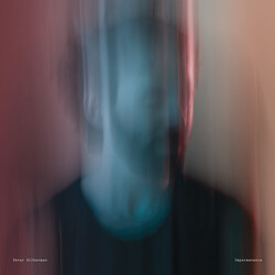 Peter Silberman Impermanence Vinyl LP
