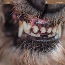 Blanck Mass World Eater Vinyl LP