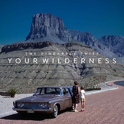 Pineapple Thief Your Wilderness (Picture Disc) picture disc Vinyl LP