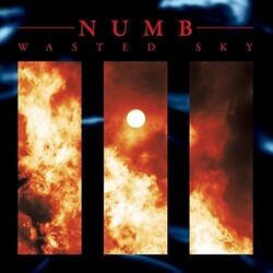 Numb Wasted Sky ltd Vinyl LP