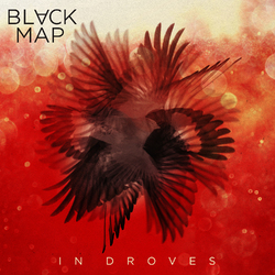Black Map In Droves Vinyl LP