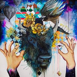 Balto Strangers Vinyl LP