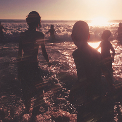 Linkin Park One More Light VINYL LP