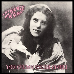 Bevis Frond Auntie Winnie Album Vinyl 2 LP