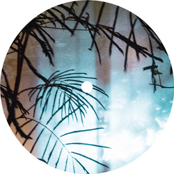 Idealist Source Vinyl 12"
