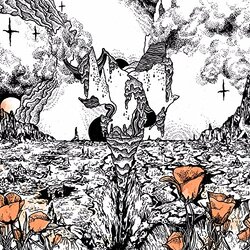 Evolfo Last Of The Acid Cowboys Vinyl LP