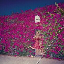 Feist Pleasure Vinyl 2 LP