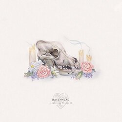 Daisyhead In Case You Missed It Vinyl LP