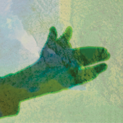 Native Instrument Camo Vinyl LP