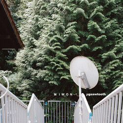 Miwon Jigsawtooth Vinyl LP
