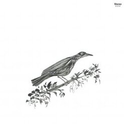 Os Peregrinos CANTO PEREGRINO (10IN) (GRY)  (DLCD) ltd 10"