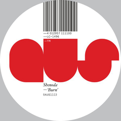 Shenoda Burn Vinyl 12"